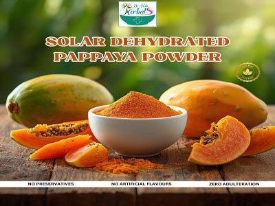 Solar dehydrated Pappaya powder