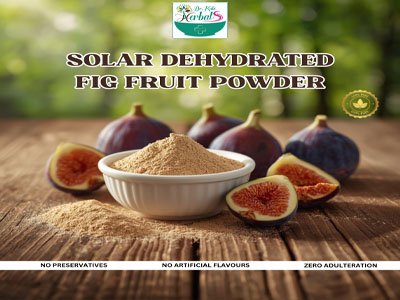 Solar dehydrated Fig fruit powder